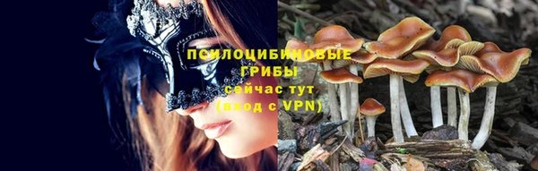 прущие крисы Волоколамск