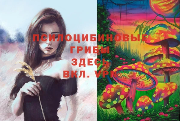 мет Верхний Тагил