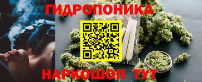 прущие грибы Гусь-Хрустальный