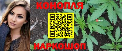 прущие грибы Гусь-Хрустальный