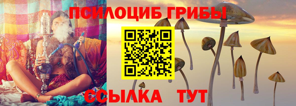 Галлюциногенные грибы Magic Shrooms Грязи