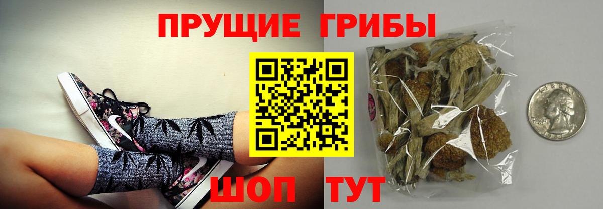 дарнет шоп  Грязи  Галлюциногенные грибы прущие грибы 